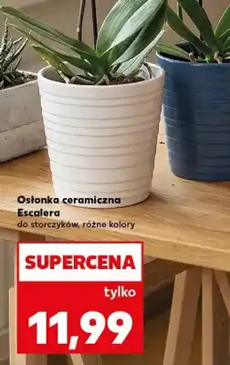 Kaufland Osłonka ceramiczna Escalera do storczyków oferta