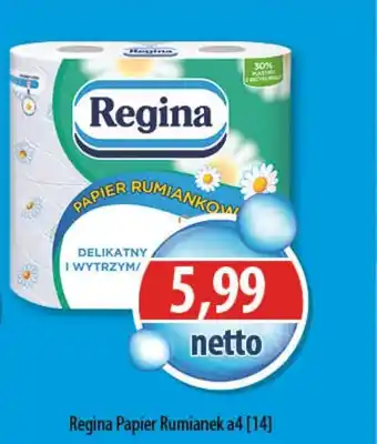 DUO-TES Regina Papier Rumianek a4 oferta