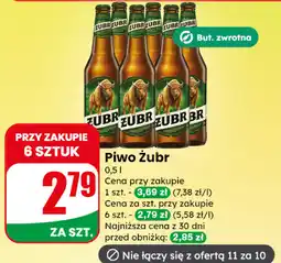 Dino Piwo Żubr oferta