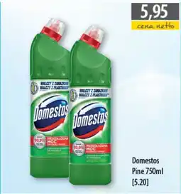 DUO-TES Domestos Pine oferta