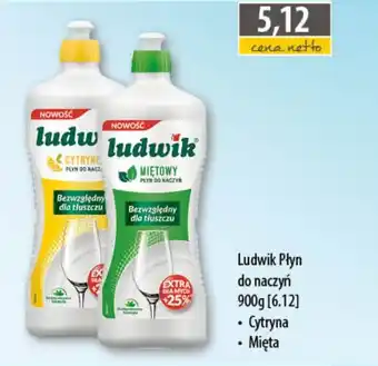 DUO-TES Ludwik Płyn do naczyń oferta