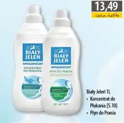 DUO-TES Biały Jeleń oferta