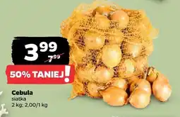Netto Cebula siatka oferta