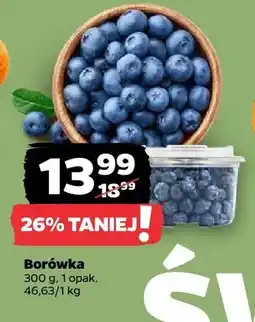 Netto Borówka oferta