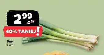 Netto Por oferta