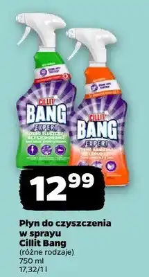 Netto Płyn do czyszczenia w sprayu oferta