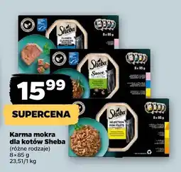 Netto Karma mokra dla kotów oferta