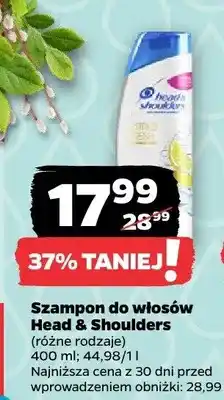 Netto Szampon do włosów oferta