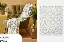 Sinsay Koc w zające oferta