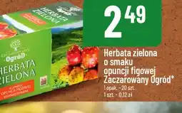 Polomarket Herbata zielona o smaku opuncji figowej Zaczarowany Ogr3d oferta
