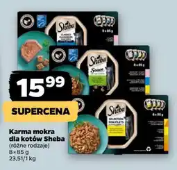 Netto Karma mokra dla kotów Sheba oferta