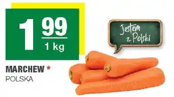 Spar Marchew oferta