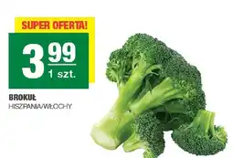 Spar Brokuł hiszpania/włochy oferta