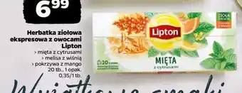 Netto Herbatka ziołowa ekspresowa z owocami Lipton oferta