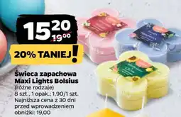 Netto Świeca zapachowa Maxi Lights Bolsius oferta