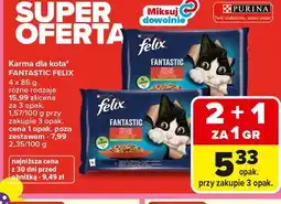 Carrefour Karma dla kota* FANTASTIC FELIX oferta