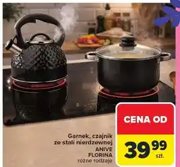 Carrefour Garnek, czajnik ze stali nierdzewnej Anive Florina różne rodzaje oferta