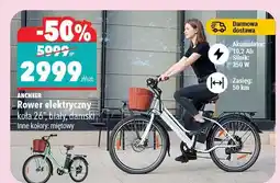 Biedronka Rower elektryczny koła 26, biały, damski, inne kolory: miedziów oferta