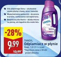 ALDI Tandil Odplamiacz w płynie oferta
