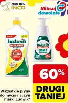 Carrefour Płyny do mycia naczyń Ludwik oferta