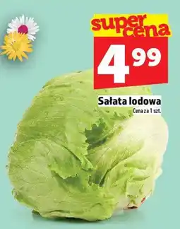 Topaz Sałata lodowa oferta