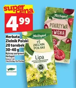 Topaz Herbata Zielnik Polski oferta