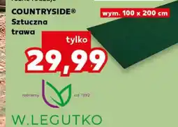Kaufland COUNTRYSIDE Sztuczna trawa oferta