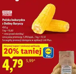 Lidl Polska kukurydza z Doliny Baryczy oferta