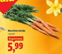 Lidl Marchew młoda oferta