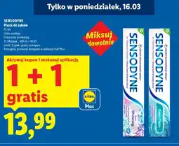 Lidl Pasta do zębów oferta