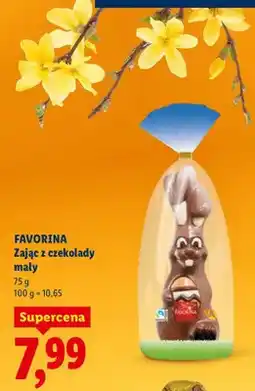 Lidl Zając z czekolady mały oferta