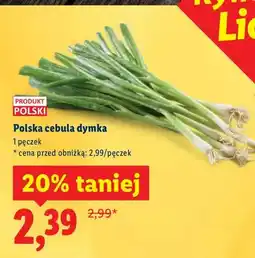 Lidl Cebula dymka oferta