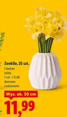 Lidl Żonkile, 25 szt., 1 bukiet żółte oferta