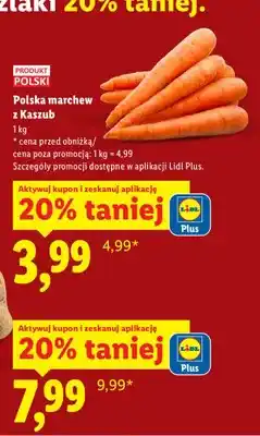 Lidl Marchew z Kaszub oferta