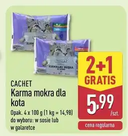 ALDI Karma mokra dla kota oferta