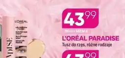 Koliber drogerie L'Oréal Paradise Tusz do rzęs oferta