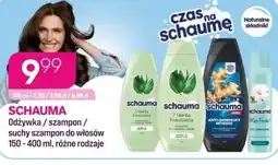 Koliber drogerie Schauma szampon/odżywka oferta