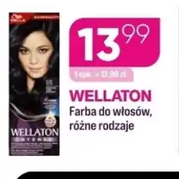 Koliber drogerie Wellaton farba do włosów oferta