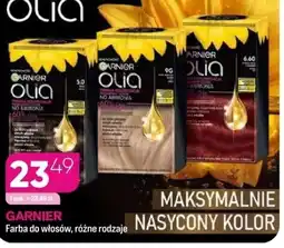 Koliber drogerie Garnier Olia farba do włosów oferta