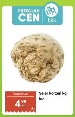 Biedronka Seler korzeń luz oferta