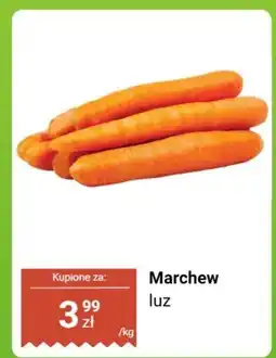 Biedronka Marchew luz oferta
