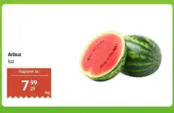 Biedronka Arbuz luz oferta