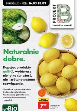 Biedronka Cytryna oferta