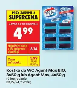 Biedronka Kostka do WC morski oferta