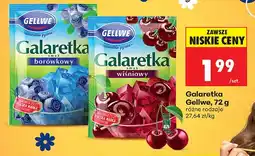 Biedronka Galaretka borówkowy oferta