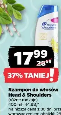 Netto Szampon do włosów Head & Shoulders oferta