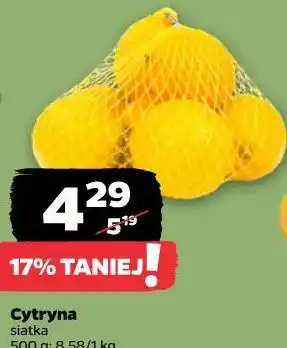 Netto Cytryna oferta