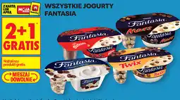 Biedronka Wszystkie jogurty Fantasia oferta