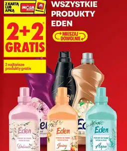 Biedronka Eden produkty oferta