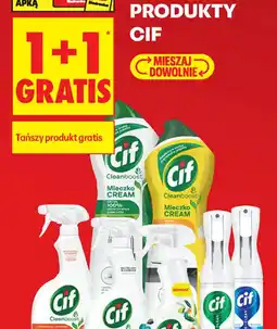 Biedronka Cif wszystkie produkty oferta